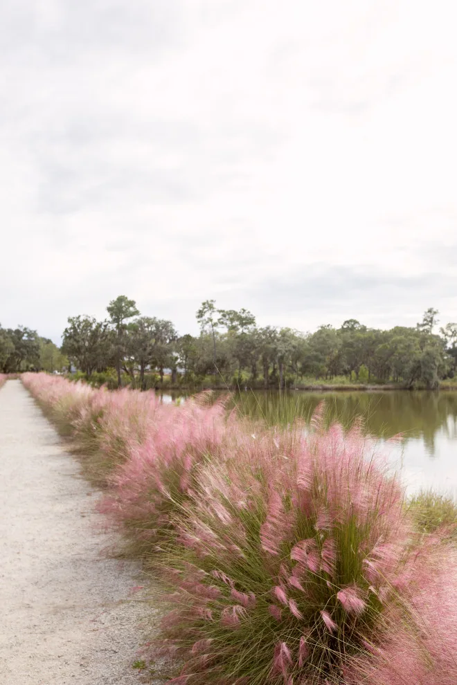 Jack Island Beech Exclusively for Kiawah River by Delpino Custom Homes - Photo 61