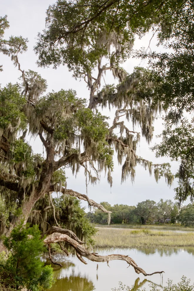 Jack Island Beech Exclusively for Kiawah River by Delpino Custom Homes - Photo 85