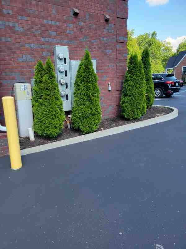 Alberto Alavez Professional Lawn Services LLC 3 by Alberto Alavez Professional Lawn Services LLC - Photo 22