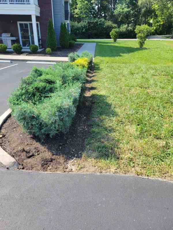 Alberto Alavez Professional Lawn Services LLC 3 by Alberto Alavez Professional Lawn Services LLC - Photo 81