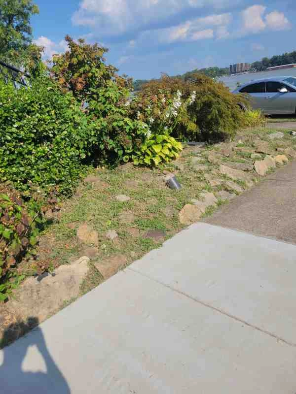 Alberto Alavez Professional Lawn Services LLC 3 by Alberto Alavez Professional Lawn Services LLC - Photo 74