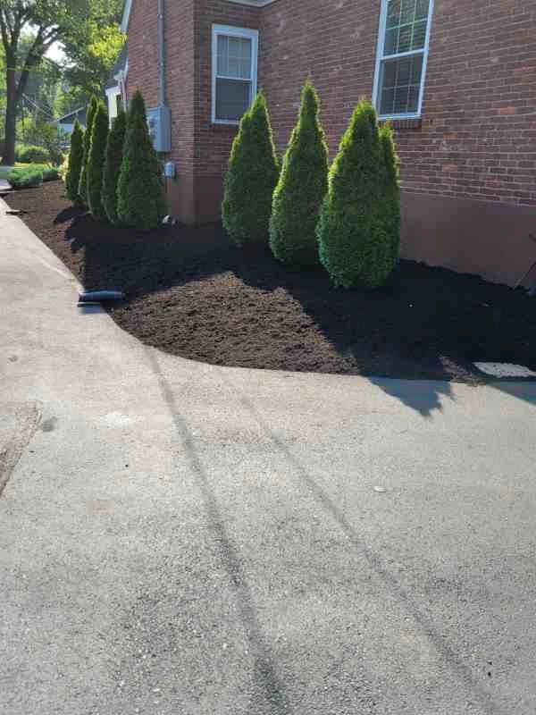 Alberto Alavez Professional Lawn Services LLC 3 by Alberto Alavez Professional Lawn Services LLC - Photo 37