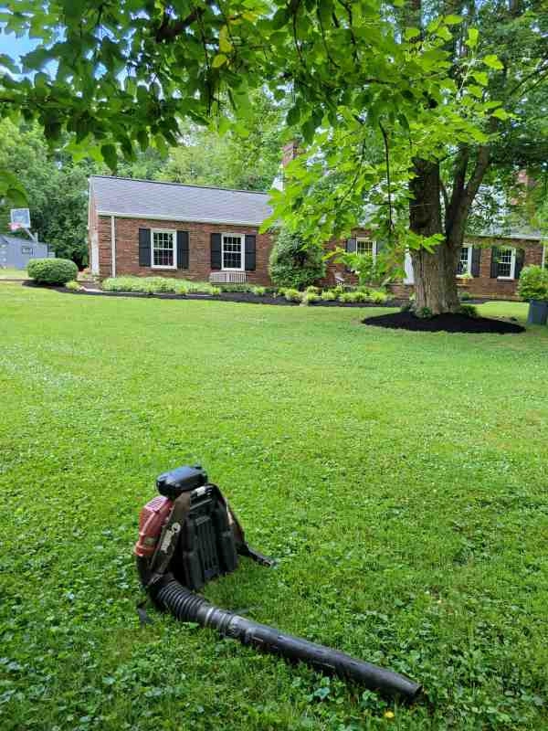 Alberto Alavez Professional Lawn Services LLC 3 by Alberto Alavez Professional Lawn Services LLC - Photo 42