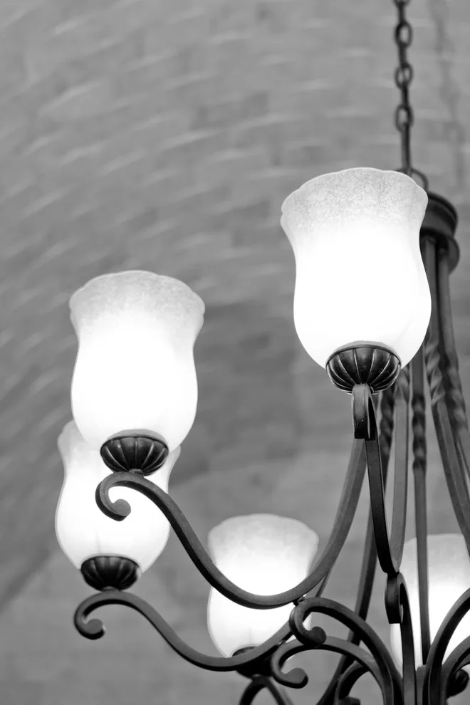 The Majestic Venetian Dusk by The Oaks Development Company - Photo 14