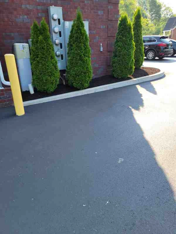Alberto Alavez Professional Lawn Services LLC 3 by Alberto Alavez Professional Lawn Services LLC - Photo 64