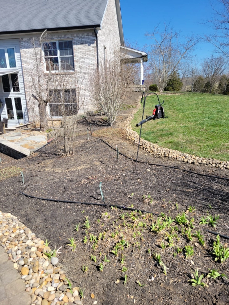 Alberto Alavez Professional Lawn Services LLC 12 by Alberto Alavez Professional Lawn Services LLC - Photo 17