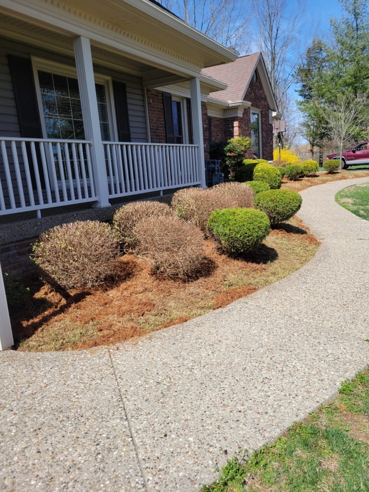 Alberto Alavez Professional Lawn Services LLC 10 by Alberto Alavez Professional Lawn Services LLC - Photo 20