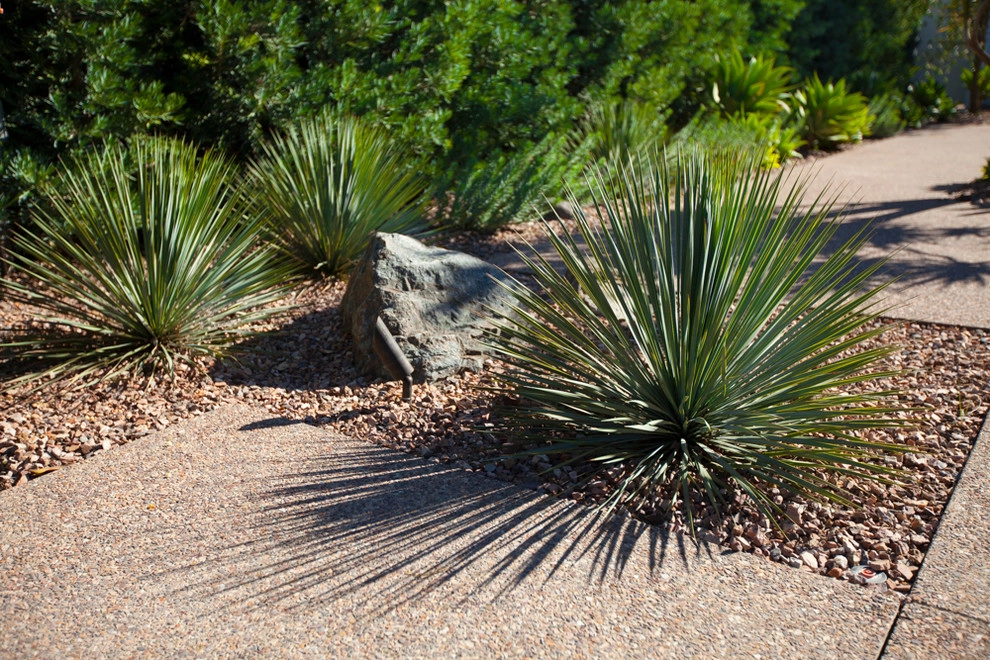 Neutra: Hafley House by Lisa Gimmy Landscape Architecture - Photo 7