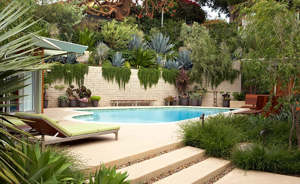 Mid-Century Makeover by Lisa Gimmy Landscape Architecture - Photo 3