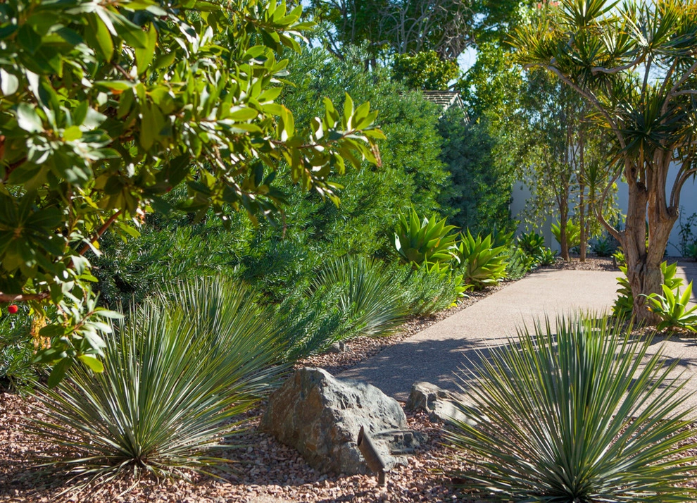 Neutra: Hafley House by Lisa Gimmy Landscape Architecture - Photo 6