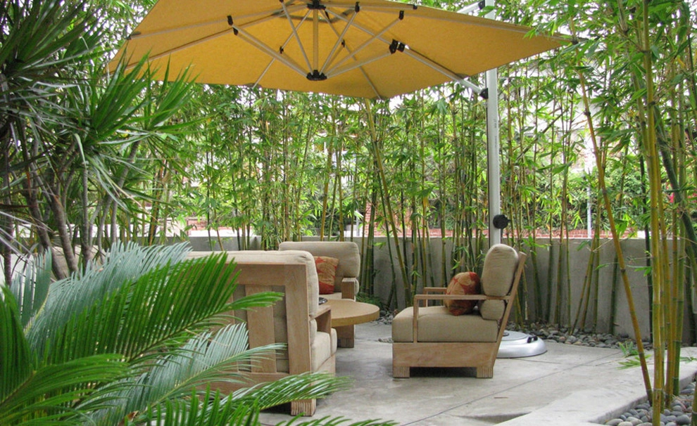 Urban Beach House by Lisa Gimmy Landscape Architecture - Photo 2