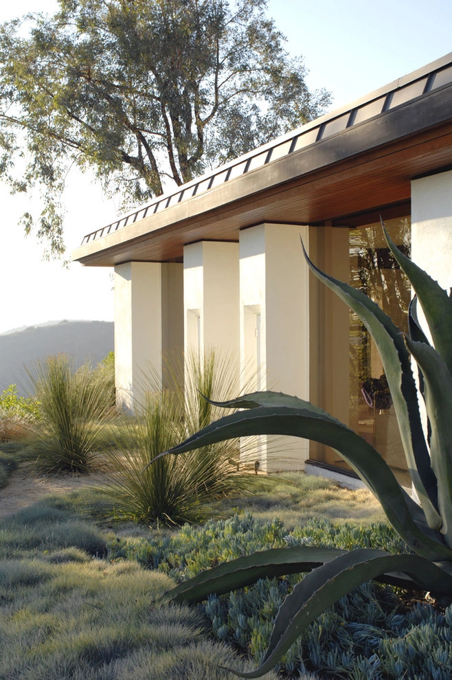 Architects's Garden by Lisa Gimmy Landscape Architecture - Photo 5
