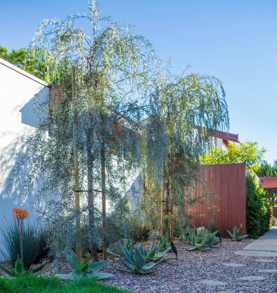 Neutra: Hafley House by Lisa Gimmy Landscape Architecture - Photo 8