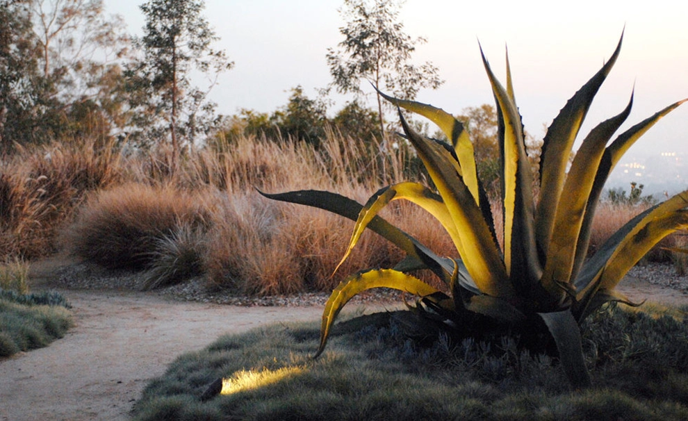 Lisa Gimmy Landscape Architecture - Photo 7