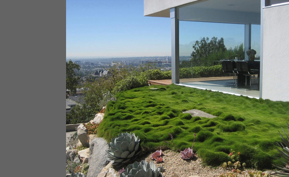 Neutra: Kun II by Lisa Gimmy Landscape Architecture - Photo 5