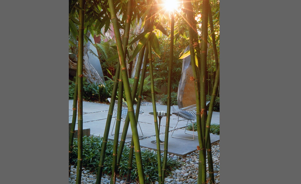 Glass House Garden by Lisa Gimmy Landscape Architecture - Photo 2
