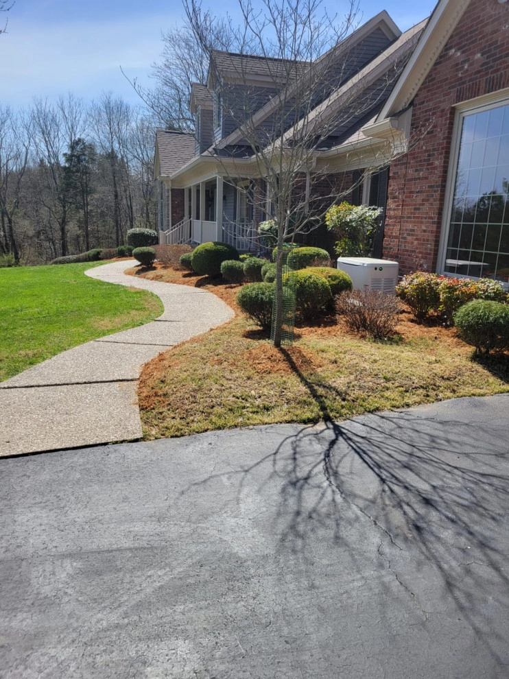 Alberto Alavez Professional Lawn Services LLC 10 by Alberto Alavez Professional Lawn Services LLC - Photo 17