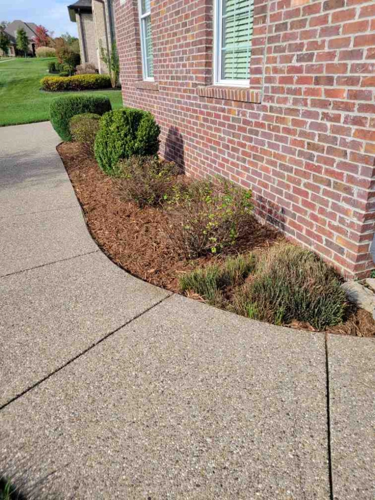 Alberto Alavez Professional Lawn Services LLC 6 by Alberto Alavez Professional Lawn Services LLC - Photo 12