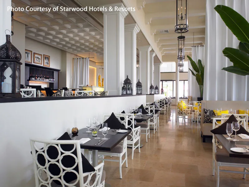 Starwood Hospitality and Lodging by Bella Pietra Design - Photo 3