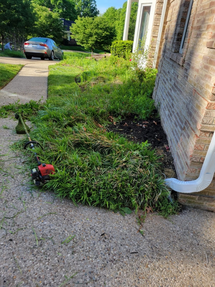Alberto Alavez Professional Lawn Services LLC 17 by Alberto Alavez Professional Lawn Services LLC - Photo 18