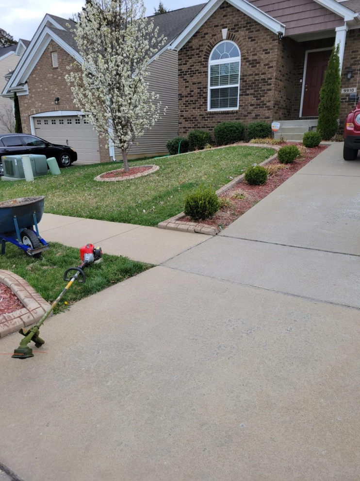 Alberto Alavez Professional Lawn Services LLC 9 by Alberto Alavez Professional Lawn Services LLC - Photo 8