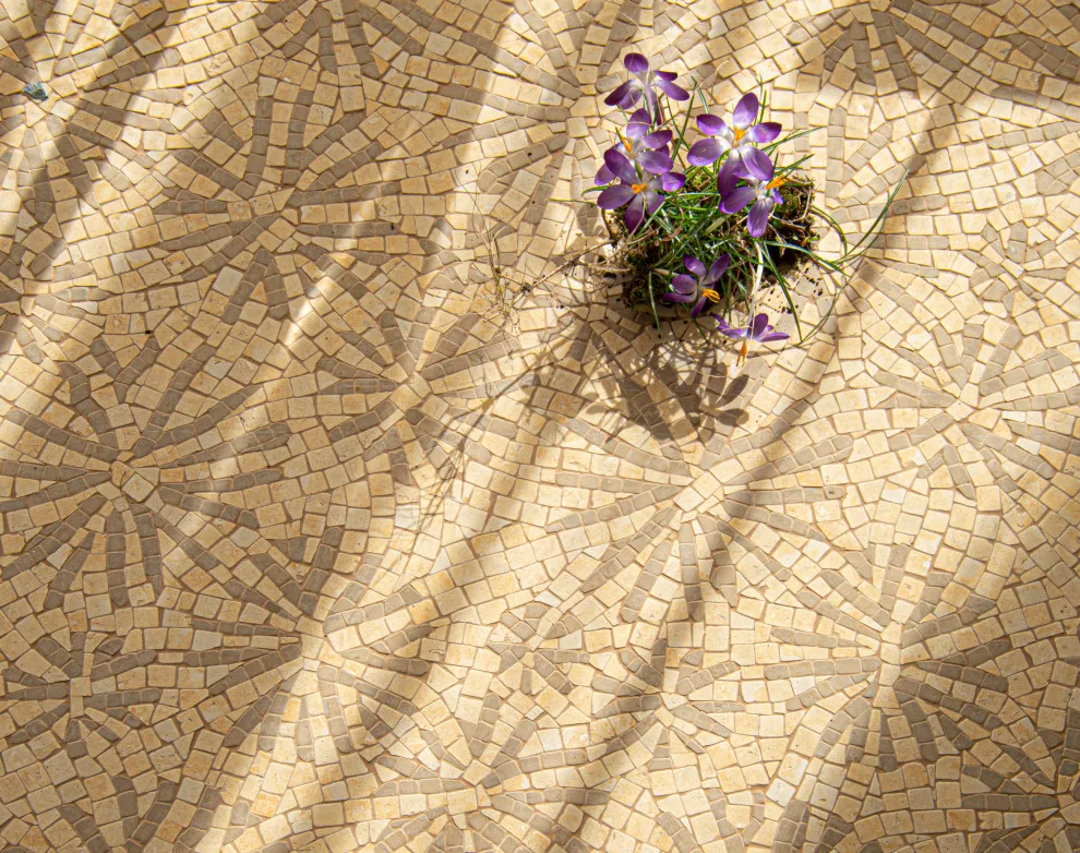 Ecosystem by New Ravenna - Photo 36