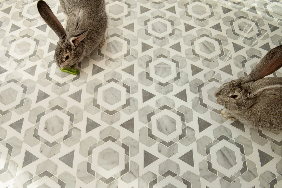 Ecosystem by New Ravenna - Photo 47