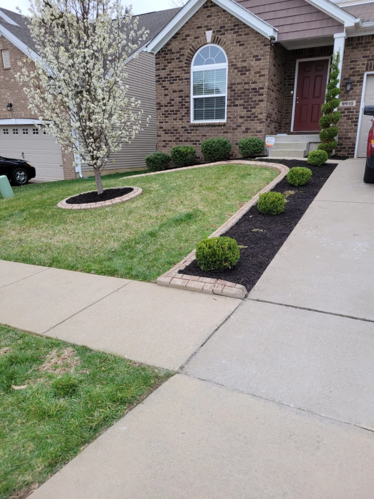 Alberto Alavez Professional Lawn Services LLC 9 by Alberto Alavez Professional Lawn Services LLC - Photo 7