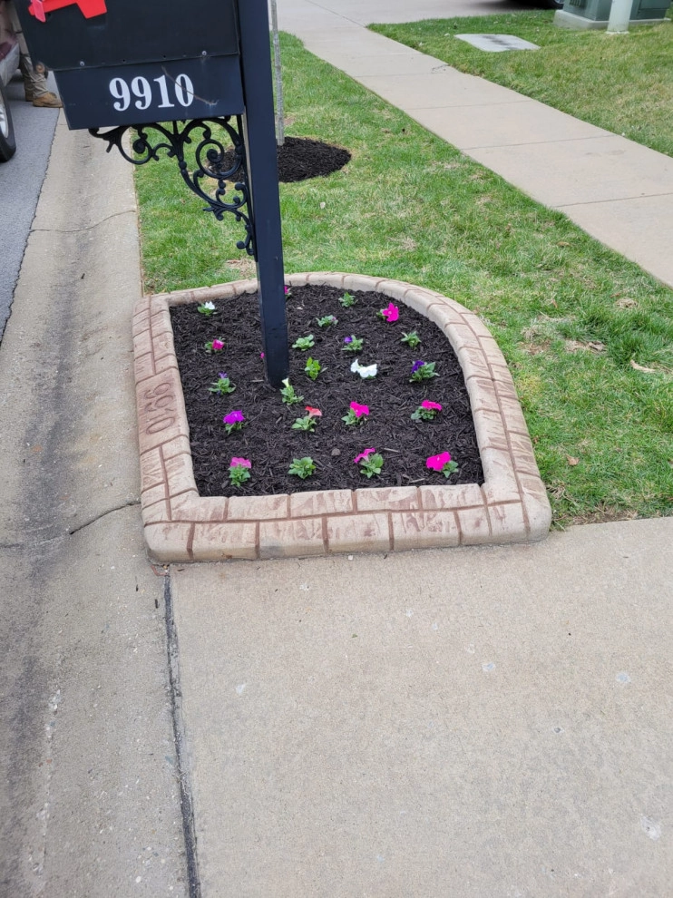 Alberto Alavez Professional Lawn Services LLC 9 by Alberto Alavez Professional Lawn Services LLC - Photo 5