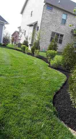 Alberto Alavez Professional Lawn Services LLC 5 by Alberto Alavez Professional Lawn Services LLC - Photo 48