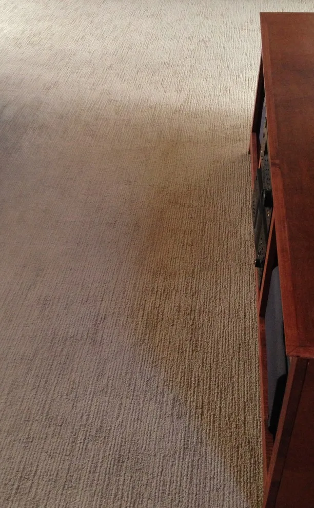 Rug by Inside Story Carpet One - Photo 5