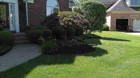 Alberto Alavez Professional Lawn Services LLC 5 by Alberto Alavez Professional Lawn Services LLC - Photo 89