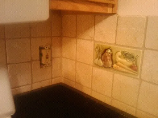 Davey Tile - Photo 13