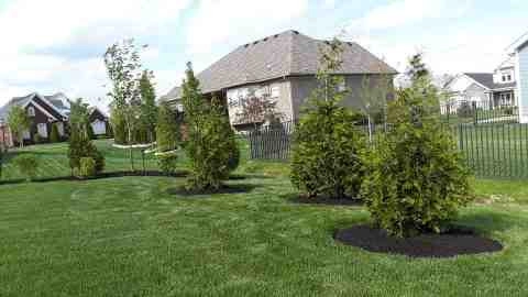 Alberto Alavez Professional Lawn Services LLC 5 by Alberto Alavez Professional Lawn Services LLC - Photo 66