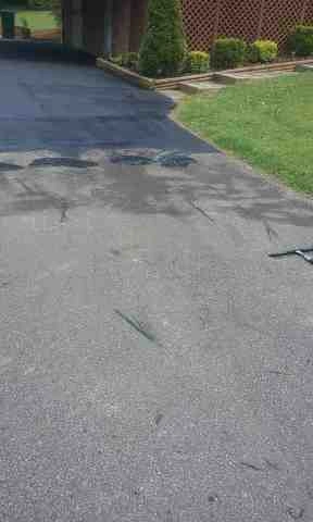Alberto Alavez Professional Lawn Services LLC 5 by Alberto Alavez Professional Lawn Services LLC - Photo 36