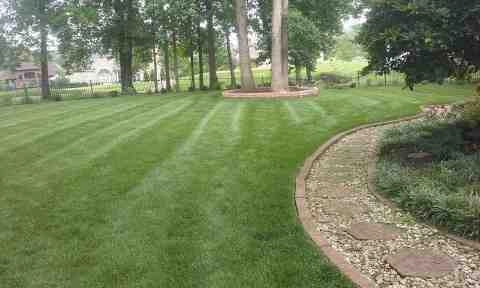 Alberto Alavez Professional Lawn Services LLC 5 by Alberto Alavez Professional Lawn Services LLC - Photo 30