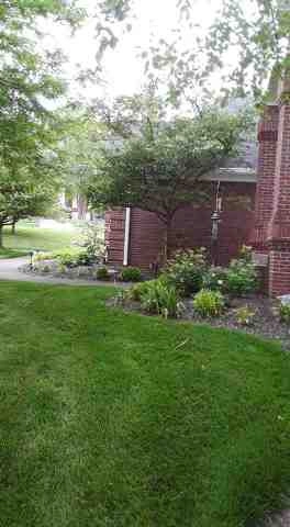 Alberto Alavez Professional Lawn Services LLC 5 by Alberto Alavez Professional Lawn Services LLC - Photo 39