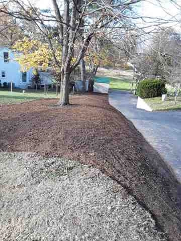 Alberto Alavez Professional Lawn Services LLC 5 by Alberto Alavez Professional Lawn Services LLC - Photo 67