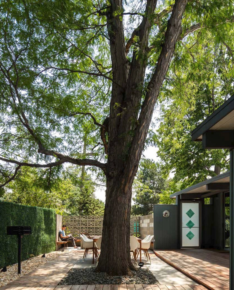 Kinney-Beikmann House - Mid Mod Denver by Living Earth Designs - Photo 3