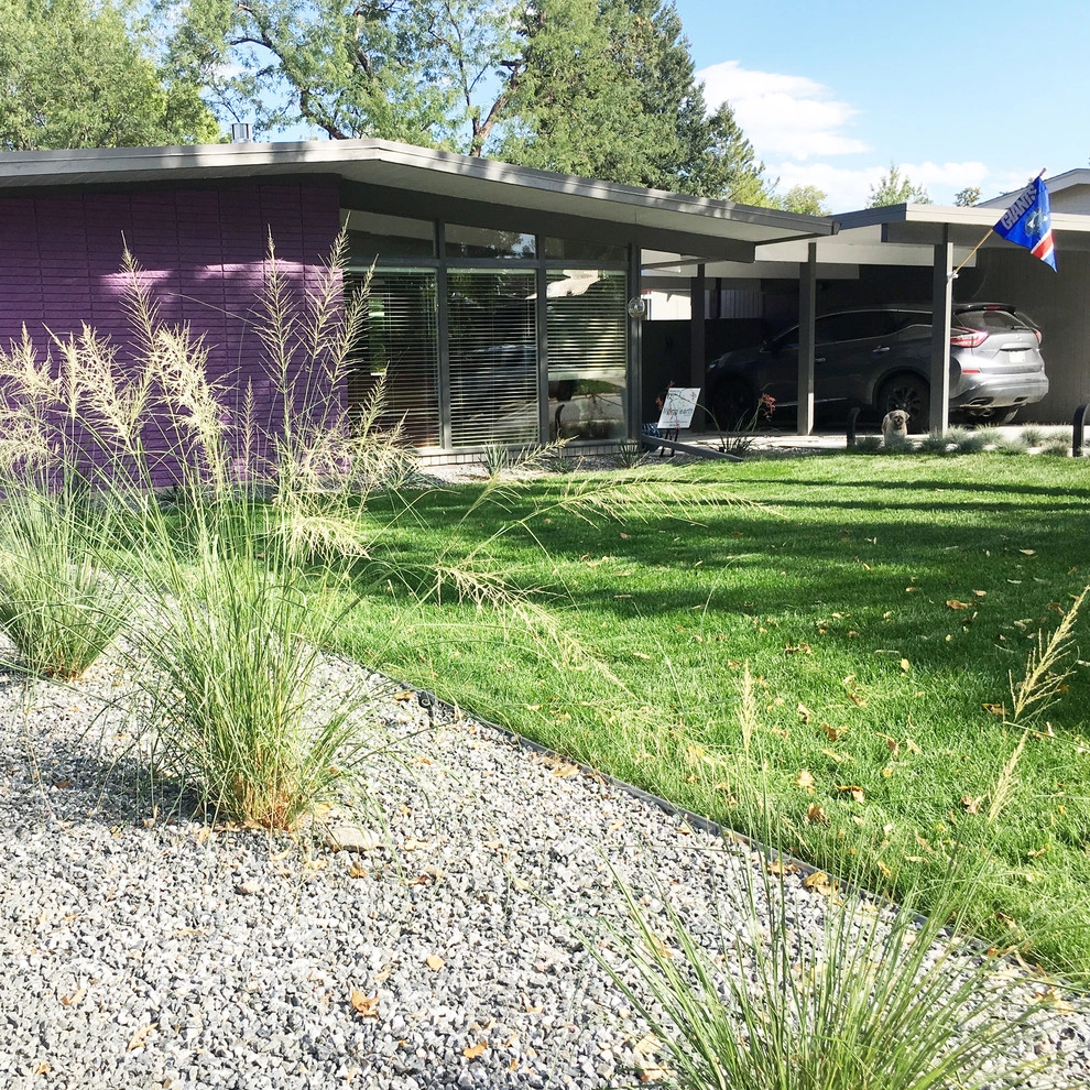 Mid Century Modern Front Yard by Living Earth Designs - Photo 5