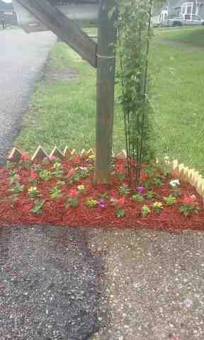 Alberto Alavez Professional Lawn Services LLC 5 by Alberto Alavez Professional Lawn Services LLC - Photo 75