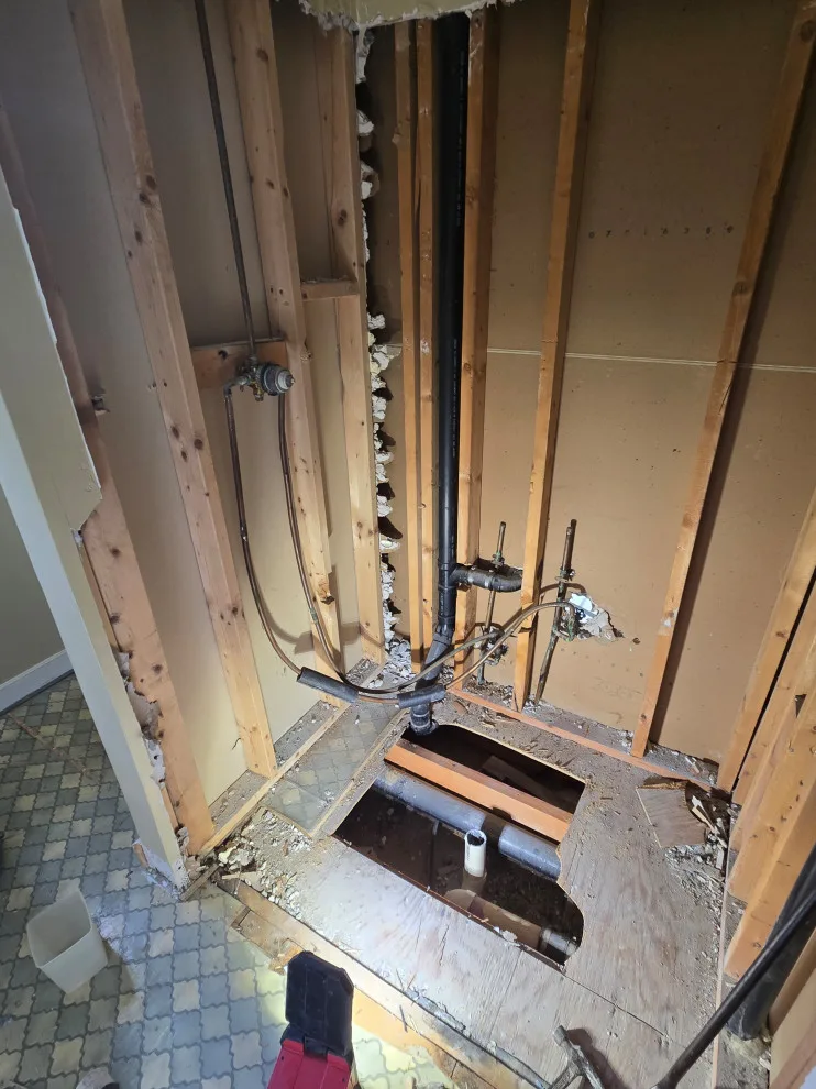 Additional images available by The Professionals - Photo 3
