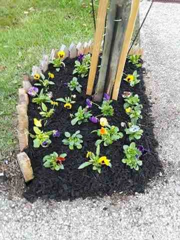 Alberto Alavez Professional Lawn Services LLC 5 by Alberto Alavez Professional Lawn Services LLC - Photo 62