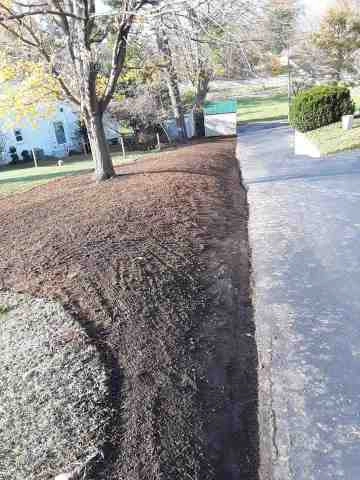 Alberto Alavez Professional Lawn Services LLC 5 by Alberto Alavez Professional Lawn Services LLC - Photo 31