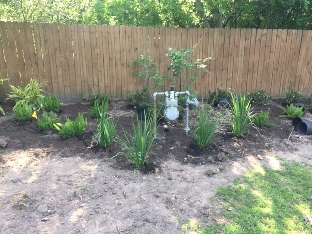 Stacy by Living Trees And Shrubs Inc - Photo 6