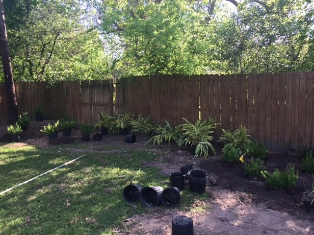 Living Trees And Shrubs Inc - Photo 4