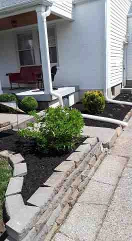 Alberto Alavez Professional Lawn Services LLC 5 by Alberto Alavez Professional Lawn Services LLC - Photo 46