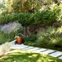 Fryman Canyon by Logoluso Design Studio - Photo 8