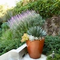 Fryman Canyon by Logoluso Design Studio - Photo 7