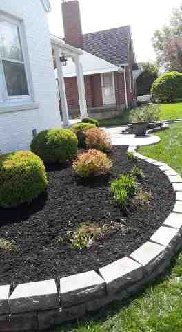 Alberto Alavez Professional Lawn Services LLC 5 by Alberto Alavez Professional Lawn Services LLC - Photo 96